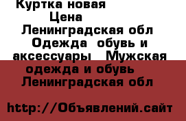 Куртка новая Everlast  › Цена ­ 3 000 - Ленинградская обл. Одежда, обувь и аксессуары » Мужская одежда и обувь   . Ленинградская обл.